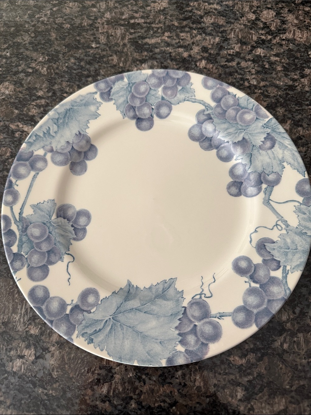 Set/12&12 Royal Stafford Bordeaux Dinner and Salad Plates